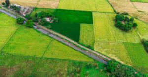 Aerial shot capturing lush green rice fields in the rural Philippines, showcasing agricultural beauty.